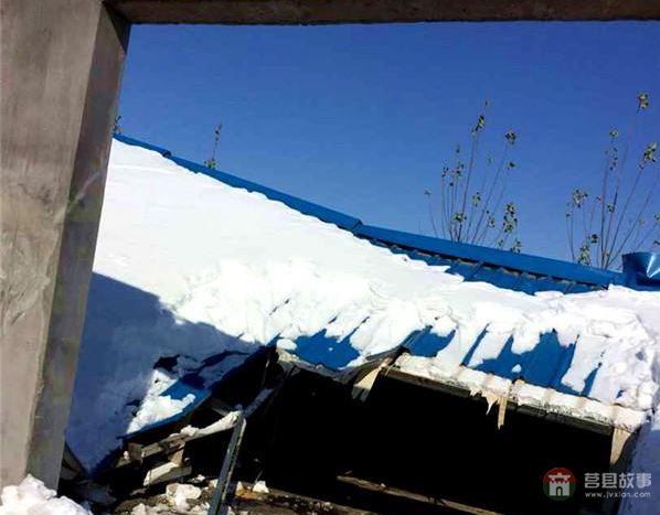莒縣大雪鴨場損失300萬，天災(zāi)人禍誰來償