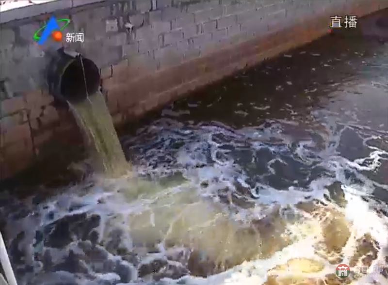 當晚就開始對柳青河部分河段水質進行取樣化驗
