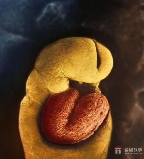 【真知】男人液體進(jìn)入女人體內(nèi)后發(fā)生的“化學(xué)反應(yīng)”，太震撼了……
