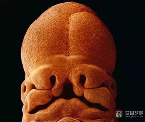 【真知】男人液體進(jìn)入女人體內(nèi)后發(fā)生的“化學(xué)反應(yīng)”，太震撼了……