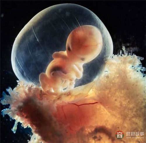 【真知】男人液體進(jìn)入女人體內(nèi)后發(fā)生的“化學(xué)反應(yīng)”，太震撼了……