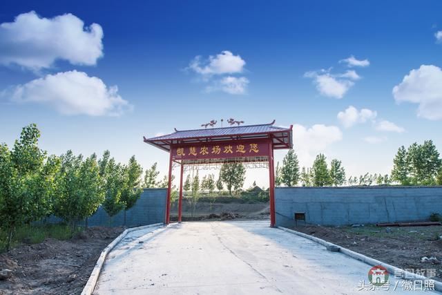 不知道了吧，莒縣有這么個好地方
