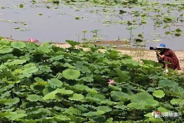杭州的西湖，莒縣的西湖煙雨