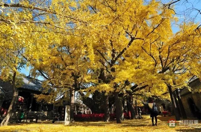 再過幾天，莒縣這個地方要火……先睹為快！