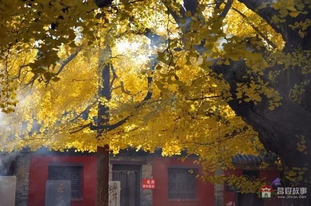 再過幾天，莒縣這個地方要火……先睹為快！