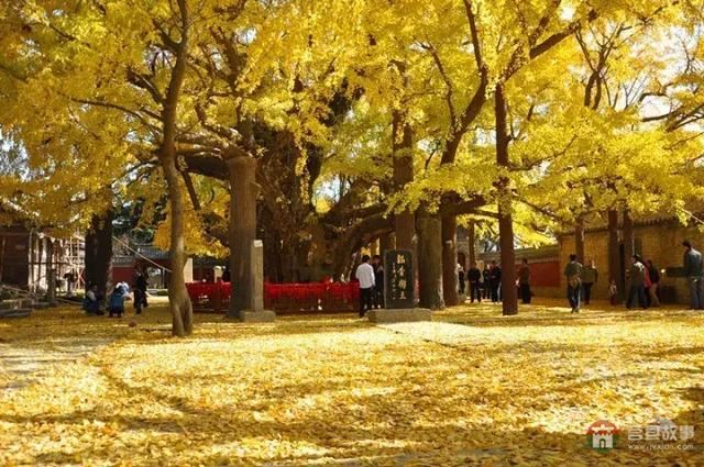 再過幾天，莒縣這個地方要火……先睹為快！