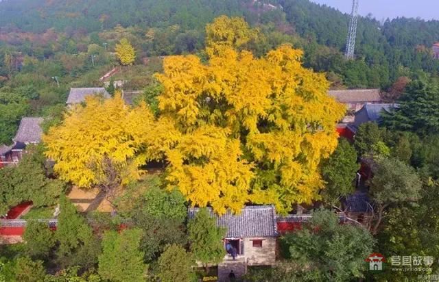 再過幾天，莒縣這個地方要火……先睹為快！