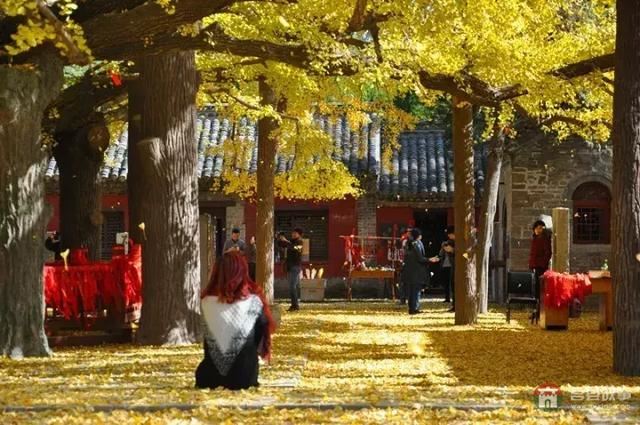 再過幾天，莒縣這個地方要火……先睹為快！