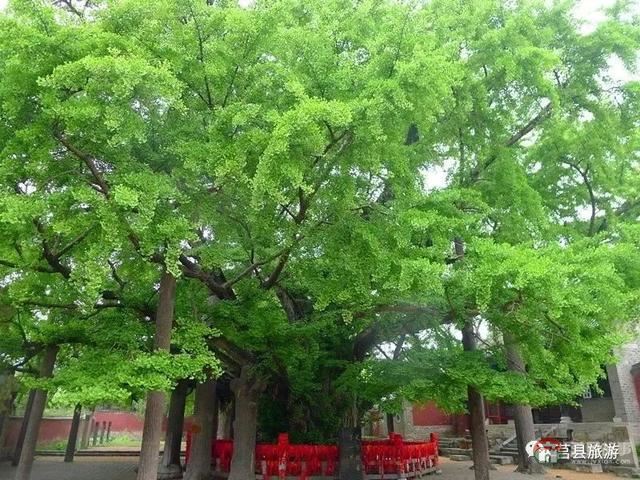 厲害了，大莒縣！