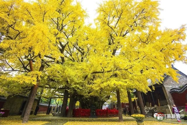 厲害了，大莒縣！