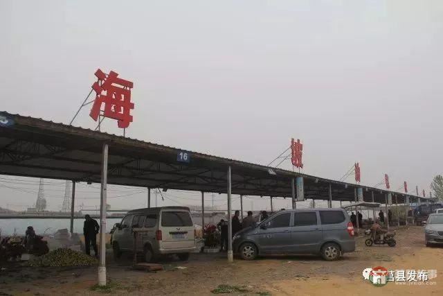 剛剛上市！莒縣這里好大一個(gè)“小油桃”，一年能賣3個(gè)億
