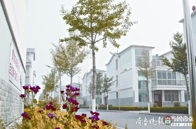 日照莒縣陵陽街道:跑出高質(zhì)量發(fā)展“加速度”
