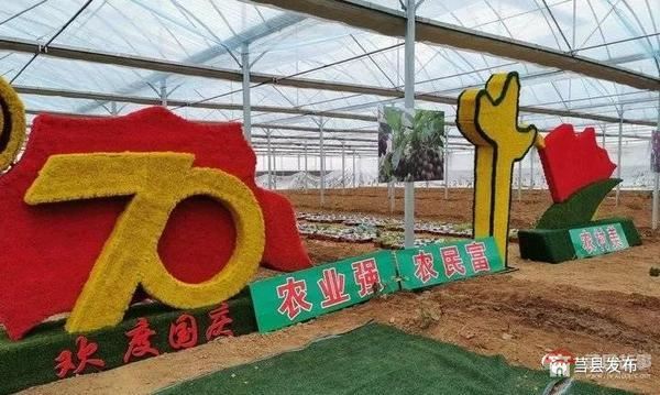 總投資1.2億元！莒縣這個(gè)“后花園”2020年上半年開(kāi)門(mén)納客